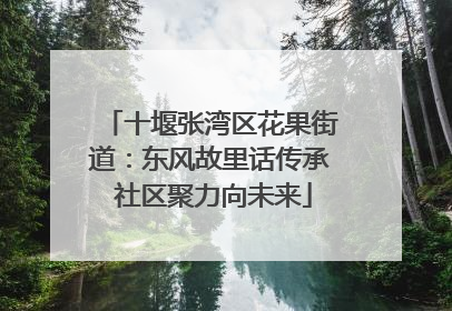 十堰张湾区花果街道：东风故里话传承 社区聚力向未来