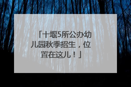 十堰5所公办幼儿园秋季招生，位置在这儿！