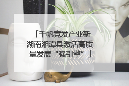 千帆竞发产业新 湖南湘潭县激活高质量发展“强引擎”