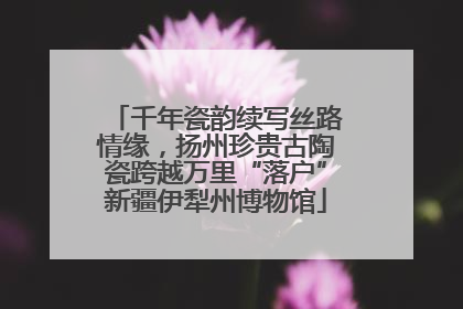 千年瓷韵续写丝路情缘，扬州珍贵古陶瓷跨越万里“落户”新疆伊犁州博物馆
