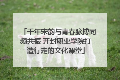 千年宋韵与青春脉搏同频共振 开封职业学院打造行走的文化课堂