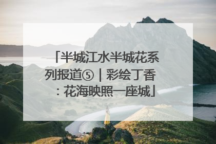 半城江水半城花系列报道⑤｜彩绘丁香：花海映照一座城