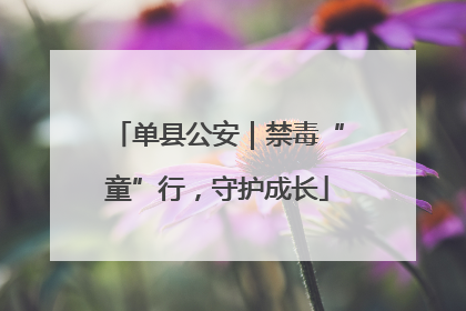单县公安｜禁毒“童”行，守护成长