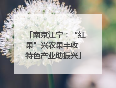 南京江宁：“红果”兴农果丰收 特色产业助振兴