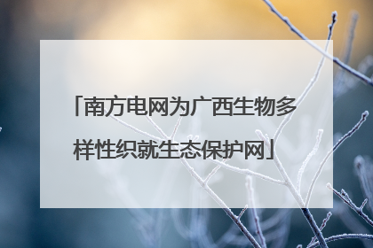 南方电网为广西生物多样性织就生态保护网