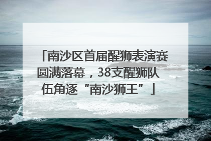 南沙区首届醒狮表演赛圆满落幕，38支醒狮队伍角逐“南沙狮王”