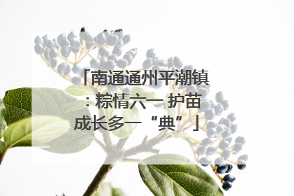 南通通州平潮镇：粽情六一 护苗成长多一“典”