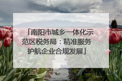 南阳市城乡一体化示范区税务局：精准服务护航企业合规发展