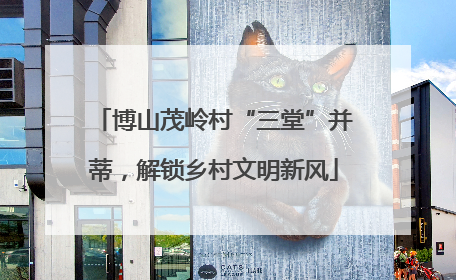 博山茂岭村“三堂”并蒂，解锁乡村文明新风