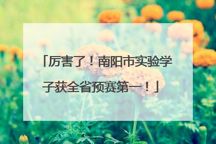 厉害了！南阳市实验学子获全省预赛第一！