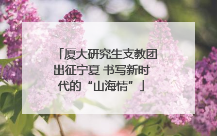 厦大研究生支教团出征宁夏 书写新时代的“山海情”
