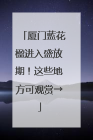 厦门蓝花楹进入盛放期！这些地方可观赏→