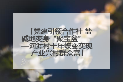 党建引领合作社 盐碱地变身“聚宝盆”——河涯村十年蝶变实现产业兴村群众富