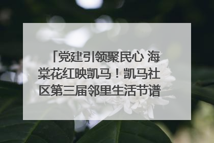 党建引领聚民心 海棠花红映凯马！凯马社区第三届邻里生活节谱写幸福新篇章