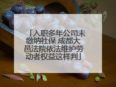 入职多年公司未缴纳社保 成都大邑法院依法维护劳动者权益这样判