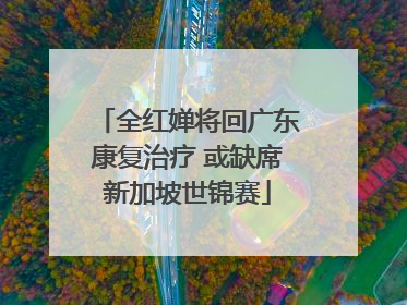 全红婵将回广东康复治疗 或缺席新加坡世锦赛