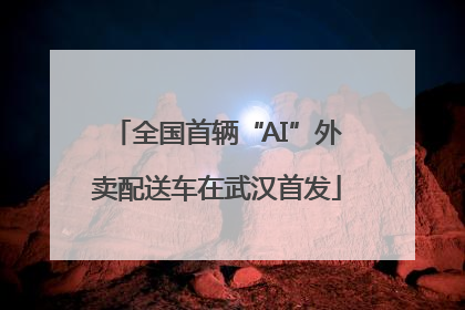 全国首辆“AI”外卖配送车在武汉首发