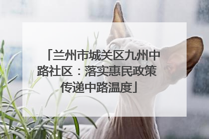 兰州市城关区九州中路社区：落实惠民政策 传递中路温度