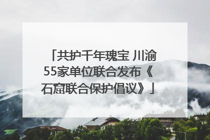 共护千年瑰宝 川渝55家单位联合发布《石窟联合保护倡议》