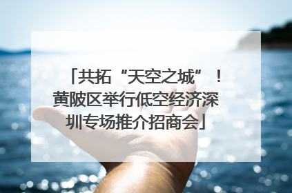 共拓“天空之城”！黄陂区举行低空经济深圳专场推介招商会