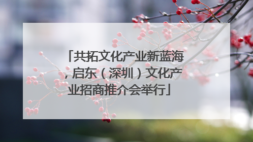 共拓文化产业新蓝海，启东（深圳）文化产业招商推介会举行