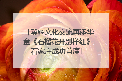 冀疆文化交流再添华章《石榴花开别样红》石家庄成功首演