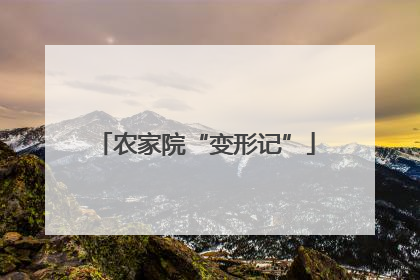 农家院“变形记”