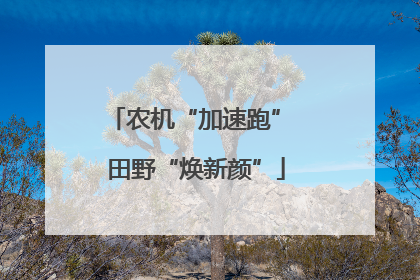 农机“加速跑” 田野“焕新颜”