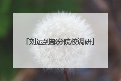 刘运到部分院校调研
