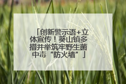 创新警示语+立体宣传！葵山镇多措并举筑牢野生菌中毒“防火墙”