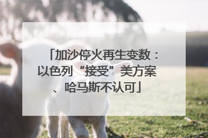 加沙停火再生变数：以色列“接受”美方案、哈马斯不认可