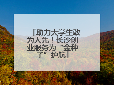 助力大学生敢为人先！长沙创业服务为“金种子”护航