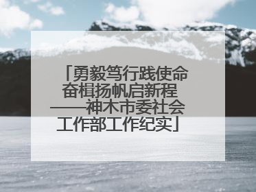 勇毅笃行践使命 奋楫扬帆启新程——神木市委社会工作部工作纪实