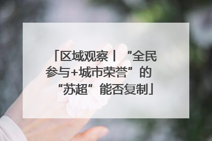 区域观察丨“全民参与+城市荣誉”的“苏超”能否复制