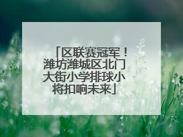 区联赛冠军！潍坊潍城区北门大街小学排球小将扣响未来