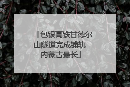 包银高铁甘德尔山隧道完成铺轨 内蒙古最长