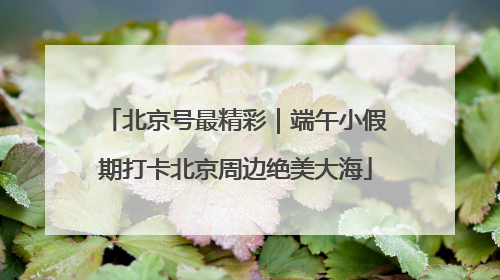 北京号最精彩｜端午小假期打卡北京周边绝美大海