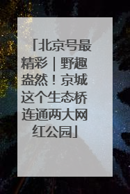 北京号最精彩｜野趣盎然！京城这个生态桥连通两大网红公园