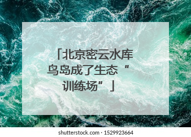 北京密云水库鸟岛成了生态“训练场”