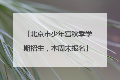 北京市少年宫秋季学期招生，本周末报名