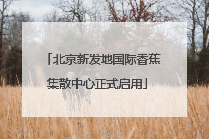 北京新发地国际香蕉集散中心正式启用
