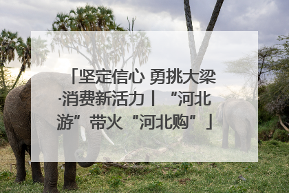 坚定信心 勇挑大梁·消费新活力丨“河北游”带火“河北购”