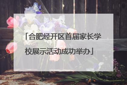 合肥经开区首届家长学校展示活动成功举办