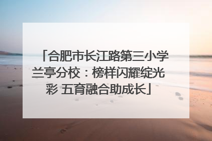 合肥市长江路第三小学兰亭分校：榜样闪耀绽光彩 五育融合助成长