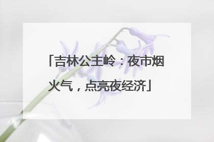 吉林公主岭：夜市烟火气，点亮夜经济