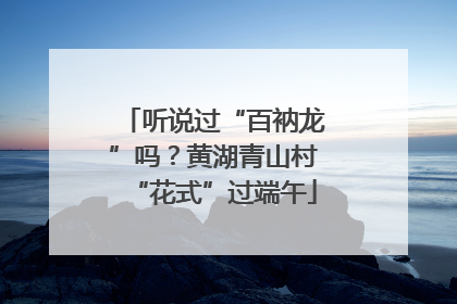 听说过“百衲龙”吗？黄湖青山村“花式”过端午