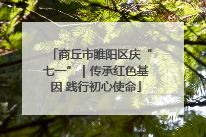 商丘市睢阳区庆“七一”｜传承红色基因 践行初心使命