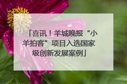 喜讯！羊城晚报“小羊拍客”项目入选国家级创新发展案例