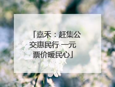 嘉禾：赶集公交惠民行 一元票价暖民心