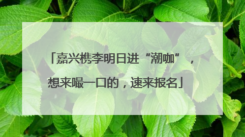 嘉兴槜李明日进“潮咖”，想来嘬一口的，速来报名
